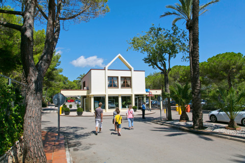 Entrance of Camping Vilanova Park in Catalonia, Spain, with palm trees and people walking on a sunny day.