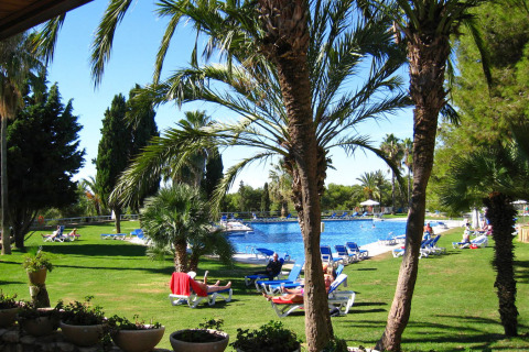 Parque vacacional Camping Vilanova Park en Cataluña, España, con palmeras, césped y piscina exterior.
