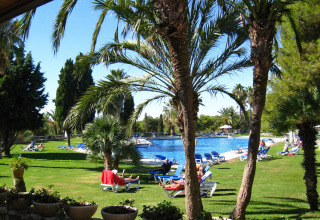 Camping Vilanova Park en Catalogne, Espagne, avec piscine, chaises longues et palmiers sur pelouse verte.