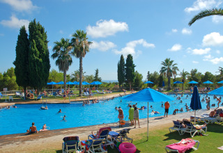Outdoor swimming pool with sun loungers, umbrellas, and palm trees at Camping Vilanova Park in Catalonia, Spain.