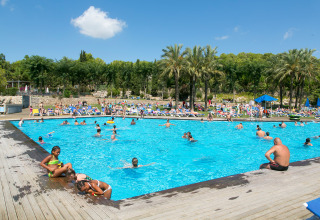 Gente disfrutando en la piscina al aire libre en Camping Vilanova Park, rodeada de palmeras, en Cataluña, España.