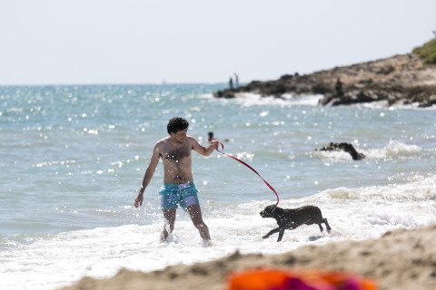 Uomo che gioca con il suo cane sulla riva al Camping Vilanova Park, un parco vacanze in Catalogna, Spagna.