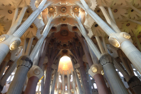 Binnenaanzicht van Sagrada Família in Barcelona met zuilen en kunstig gedecoreerd plafond.