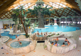 Parco acquatico coperto al Camping Terme Catez, Slovenia, con piscine, idromassaggi e palme decorative.