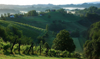 Colinas verdes con viñedos y casas dispersas cerca de Brežice, Región del Bajo Sava, Eslovenia.