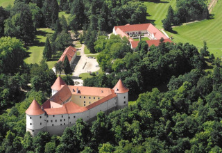 Vista aerea di un castello vicino a Brežice, immerso nei boschi della regione della Bassa Sava, Slovenia.