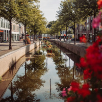 Un canal pittoresque bordé d’arbres et de fleurs près d’Echtenerbrug, en Frise, aux Pays-Bas.