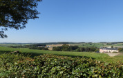 Vue sur la campagne luxembourgeoise depuis le parc de vacances Camping Um Bierg à Diekirch sous un ciel bleu.