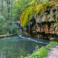 Moosbedeckte Felswand mit Wasserbecken bei Tarchamps, Diekirch, Luxemburg, umgeben von Wald.