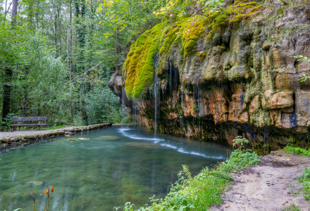 Moss-covered rock wall and tranquil pond near Tarchamps, Diekirch, Luxembourg, surrounded by forest.