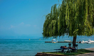 Une personne se repose sous un arbre au bord du lac près de bateaux à Castelnuovo del Garda, Vénétie, Italie.