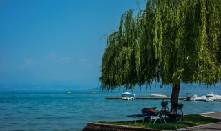 Una persona descansa bajo un árbol junto al lago y botes, cerca de Castelnuovo del Garda en Véneto, Italia.