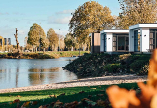 Moderne Ferienhäuser am See im MarinaPark Bad Nederrijn, Gelderland, Niederlande, mit herbstlichen Bäumen.