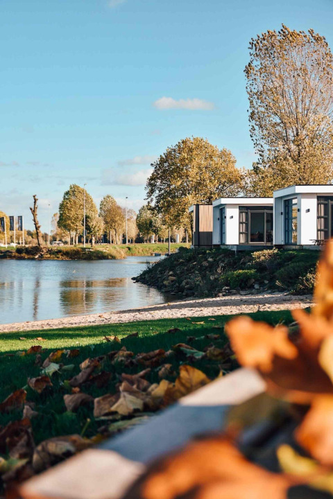 Moderne vakantiewoningen aan het meer in MarinaPark Bad Nederrijn, Gelderland, Nederland, omringd door herfstbladeren.