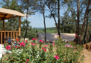 Vue sur Slow Village Provence Occitane en Occitanie, France, avec fleurs, tentes et forêt verdoyante.