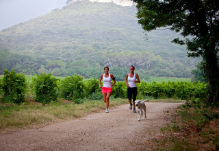 Twee vrouwen en een hond joggen langs wijngaarden in Slow Village Provence Occitane, Occitanië, Frankrijk.