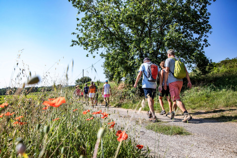 Groupe de personnes randonnant sur un sentier fleuri au Slow Village Provence Occitane en Occitanie, France.