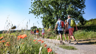 Grupo de personas caminando por un sendero junto a flores silvestres en Slow Village Provence Occitane, Occitania.