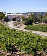 Viñedos y una casa de campo cerca de La Roque-sur-Cèze, Occitania, Francia, rodeados de campos verdes y colinas.