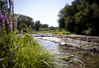 En stille flod løber gennem frodigt grønt område med vilde blomster i Slow Village Provence Occitane, Occitanie.