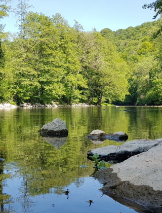 Río tranquilo con piedras y árboles verdes cerca de Virton, Luxemburgo belga, Bélgica, en un día soleado.