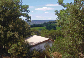 Tienda SunLodge Safari entre árboles en Slow Village Provence Occitane, Francia, con vistas al campo.