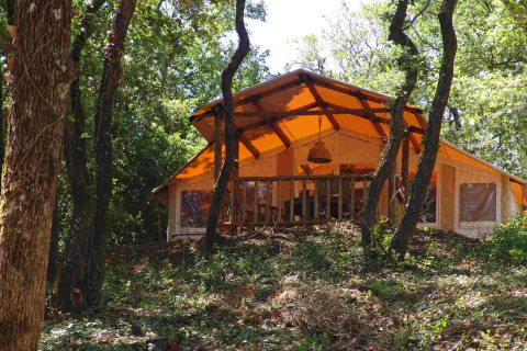 SunLodge Safari tent bij Slow Village Provence Occitane in Frankrijk, omringd door het bos.