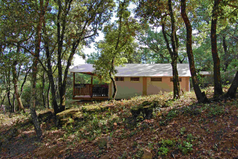 SunLodge Safari-telt blandt træer hos Slow Village Provence Occitane, Frankrig, set i naturlig skovomgivelse.