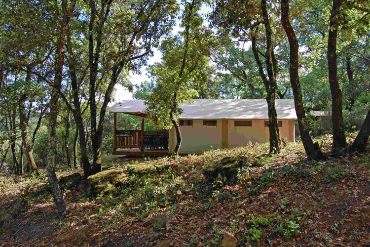 Tienda SunLodge Safari en Slow Village Provence Occitane, Francia, rodeada de árboles y naturaleza verde.
