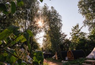 Zonneschijn door de bomen op een pad en chalets in vakantiepark RØSTIG in Utrecht, Nederland.