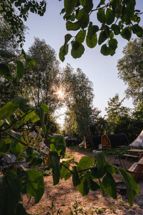 Sun shining through trees onto pathway and cabins at RØSTIG holiday park in Utrecht, Netherlands.