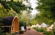 Træhytte og telte på en skovsti i ferielandsbyen RØSTIG i Utrecht, Holland under grønne træer.