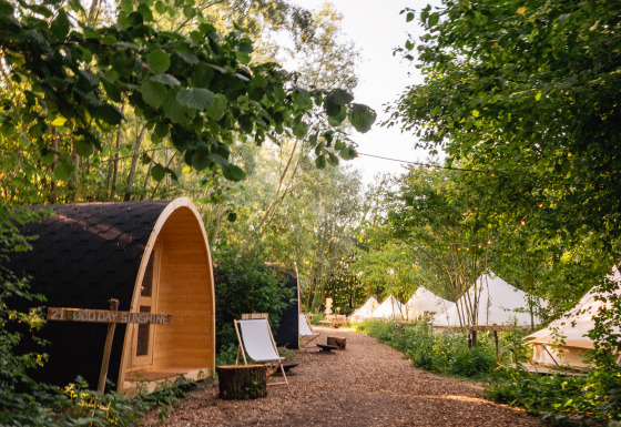 Houten hut en tenten aan een bospad bij vakantiepark RØSTIG in Utrecht, Nederland onder groene bomen.