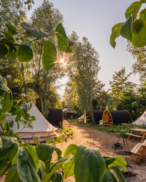 Sonnenbeschienener RØSTIG-Ferienpark in Utrecht, Niederlande, mit Zelten, Hütten und vielen Bäumen.