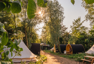 Sunny RØSTIG holiday park in Utrecht, Netherlands, with tents, cabins, trees, and picnic tables.