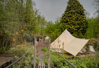 Wooden bridge over pond leads to glamping tents in lush nature at RØSTIG holiday park, Utrecht, Netherlands.