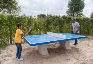 Dos personas juegan tenis de mesa al aire libre sobre arena y mesa azul en un parque vacacional de Gelderland.