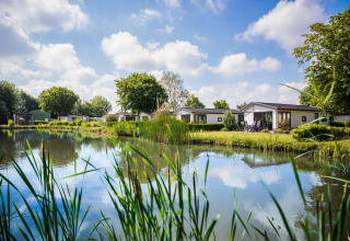 Vakantiehuisjes aan een vijver in Recreatiepark het Esmeer, met veel natuur in Gelderland, Nederland.