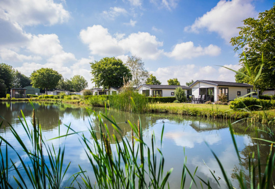 Vakantiehuisjes aan een vijver in Recreatiepark het Esmeer, met veel natuur in Gelderland, Nederland.