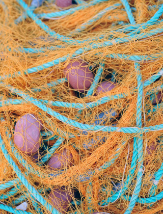 Red de pesca con cuerdas azules y malla naranja, fotografiada cerca de Aalst, Gelderland, Países Bajos.