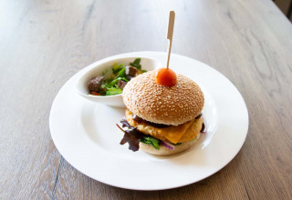 A cheeseburger and a small salad on a white plate, served on a wooden table in Gelderland, Netherlands.