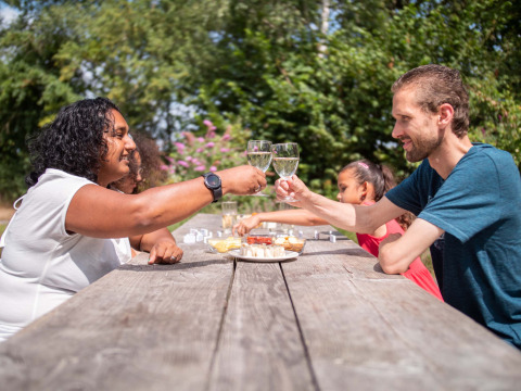Familie genießt Picknick im Freien und stößt mit Wein an im Résidence Lichtenvoorde, Gelderland, Niederlande.