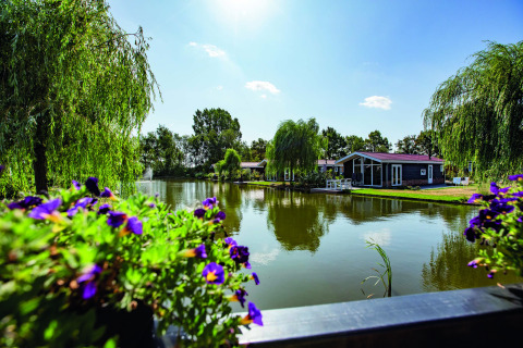 Tranquilo parque vacacional junto al lago con flores, árboles y cabañas en Résidence Lichtenvoorde, Gelderland.