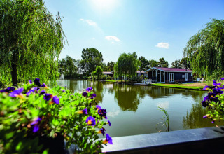Peaceful lakeside holiday park with flowers, trees, and cottages at Résidence Lichtenvoorde, Gelderland.