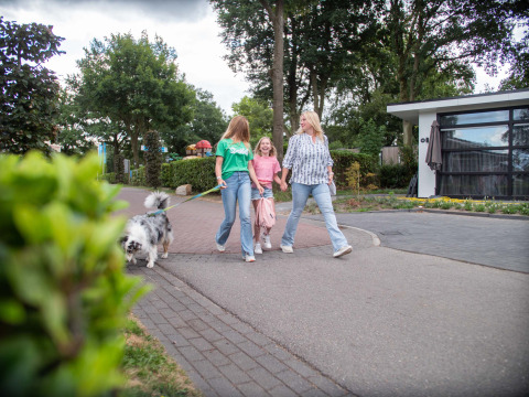 Familie spaziert mit Hund durch den Ferienpark Résidence de Leuvert in Nordbrabant, Niederlande.