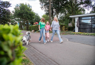 Familie spaziert mit Hund durch den Ferienpark Résidence de Leuvert in Nordbrabant, Niederlande.