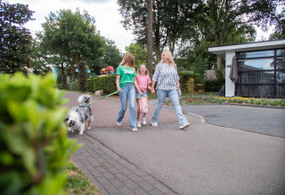Gezin maakt wandeling met hond in Résidence de Leuvert vakantiepark in Noord-Brabant, Nederland, omgeven door groen.