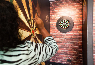A person plays darts indoors at Résidence de Leuvert holiday park in North-Brabant, Netherlands.