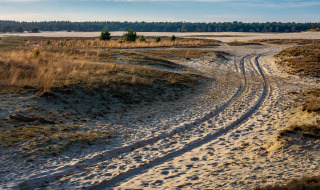 Sandy tracks winding through an open dune landscape near Cromvoirt, Netherlands, with forest beyond.