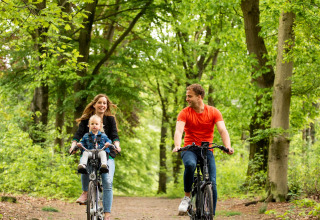 A family rides bicycles along a green forest path at Landgoed de Scheleberg holiday park in Gelderland.